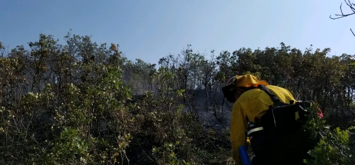 Fire Notice